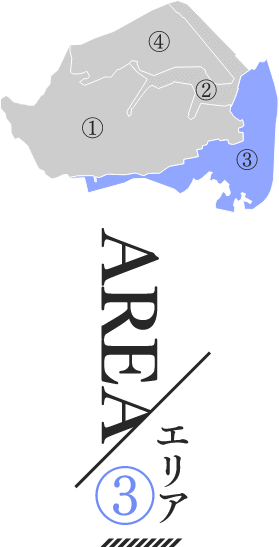 AREA03